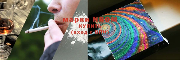 индика Богданович