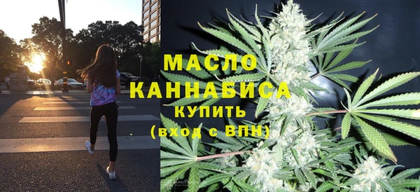 индика Богданович