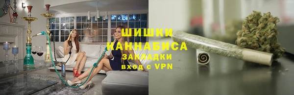 МДПВ Богородск