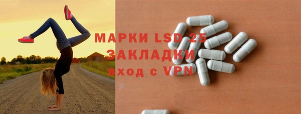 индика Богданович