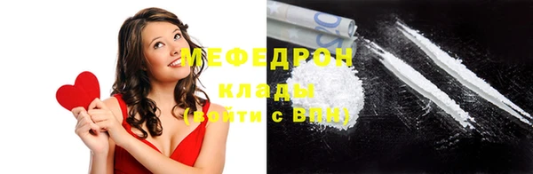 индика Богданович