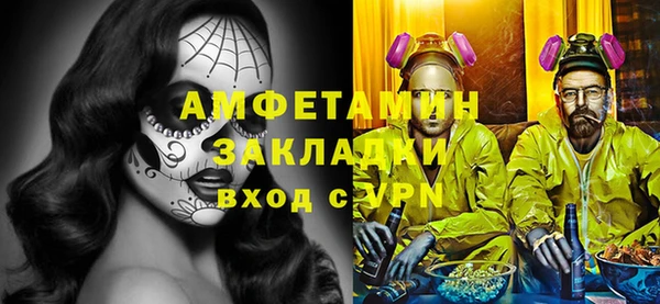 индика Богданович