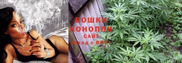 бошки Богородицк