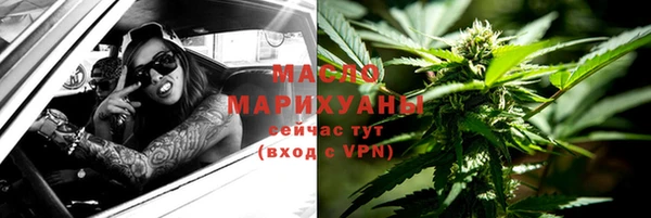индика Богданович